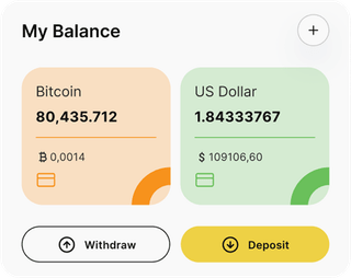 Dusk Fundis automated trading solution dashboard overview